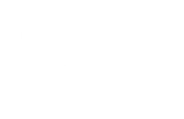 Fluidi partner logo